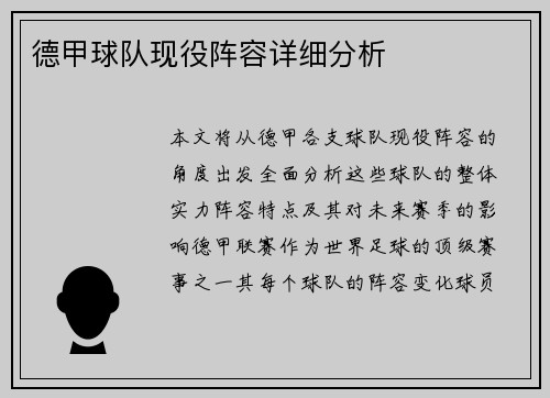 德甲球队现役阵容详细分析