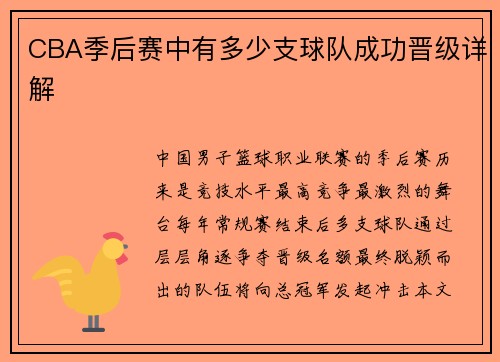 CBA季后赛中有多少支球队成功晋级详解