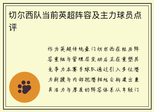 切尔西队当前英超阵容及主力球员点评